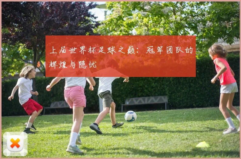 上届世界杯足球之巅:冠军团队的辉煌与隐忧