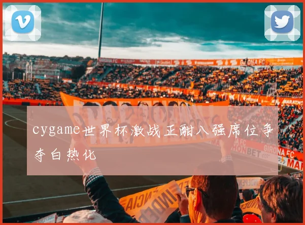 cygame世界杯激战正酣八强席位争夺白热化