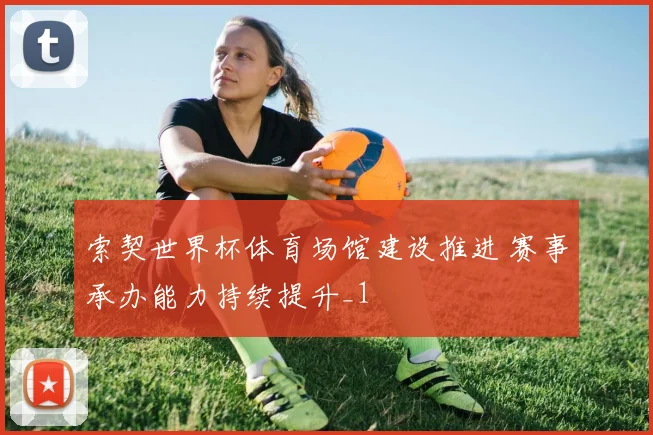 索契世界杯体育场馆建设推进 赛事承办能力持续提升_1