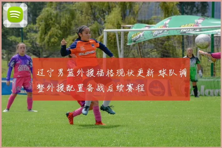 辽宁男篮外援福格现状更新 球队调整外援配置备战后续赛程