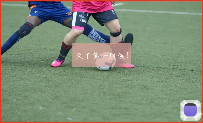 天下第一胖侠！