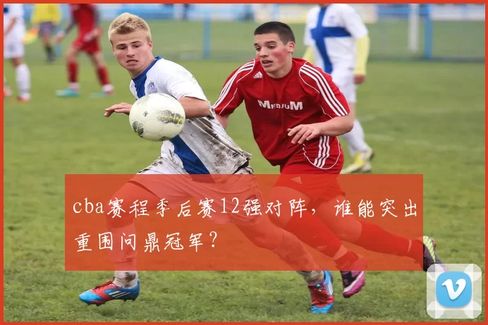 cba赛程季后赛12强对阵，谁能突出重围问鼎冠军？