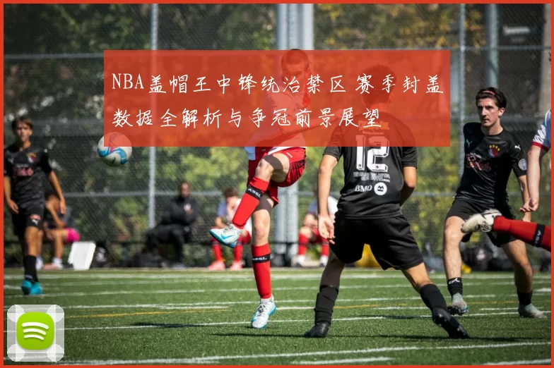 NBA盖帽王中锋统治禁区 赛季封盖数据全解析与争冠前景展望